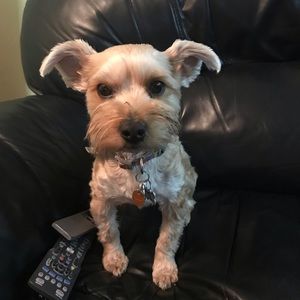 Meet your Posher, Cindy